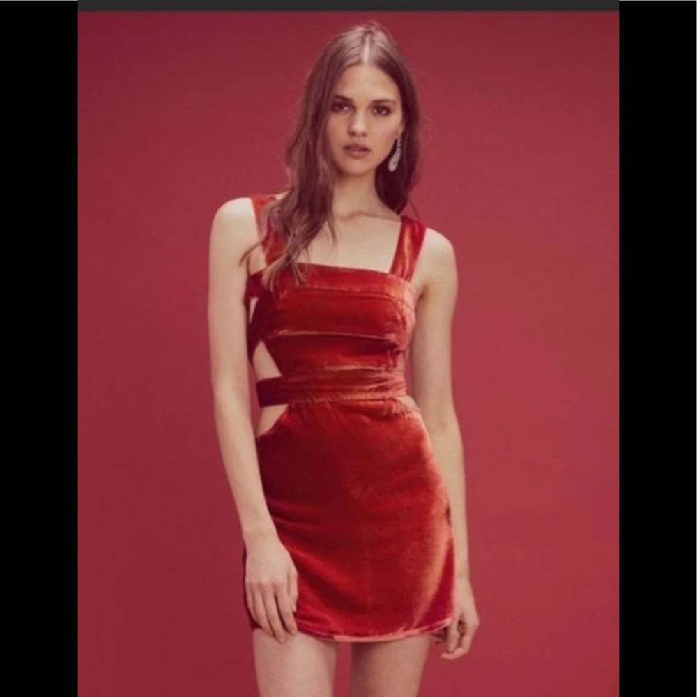 Love & Lemons Velvet Kate Dress